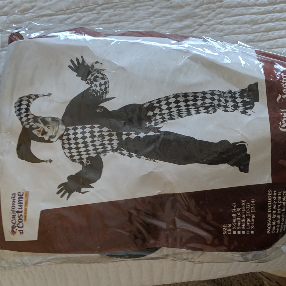 Halloween costume
